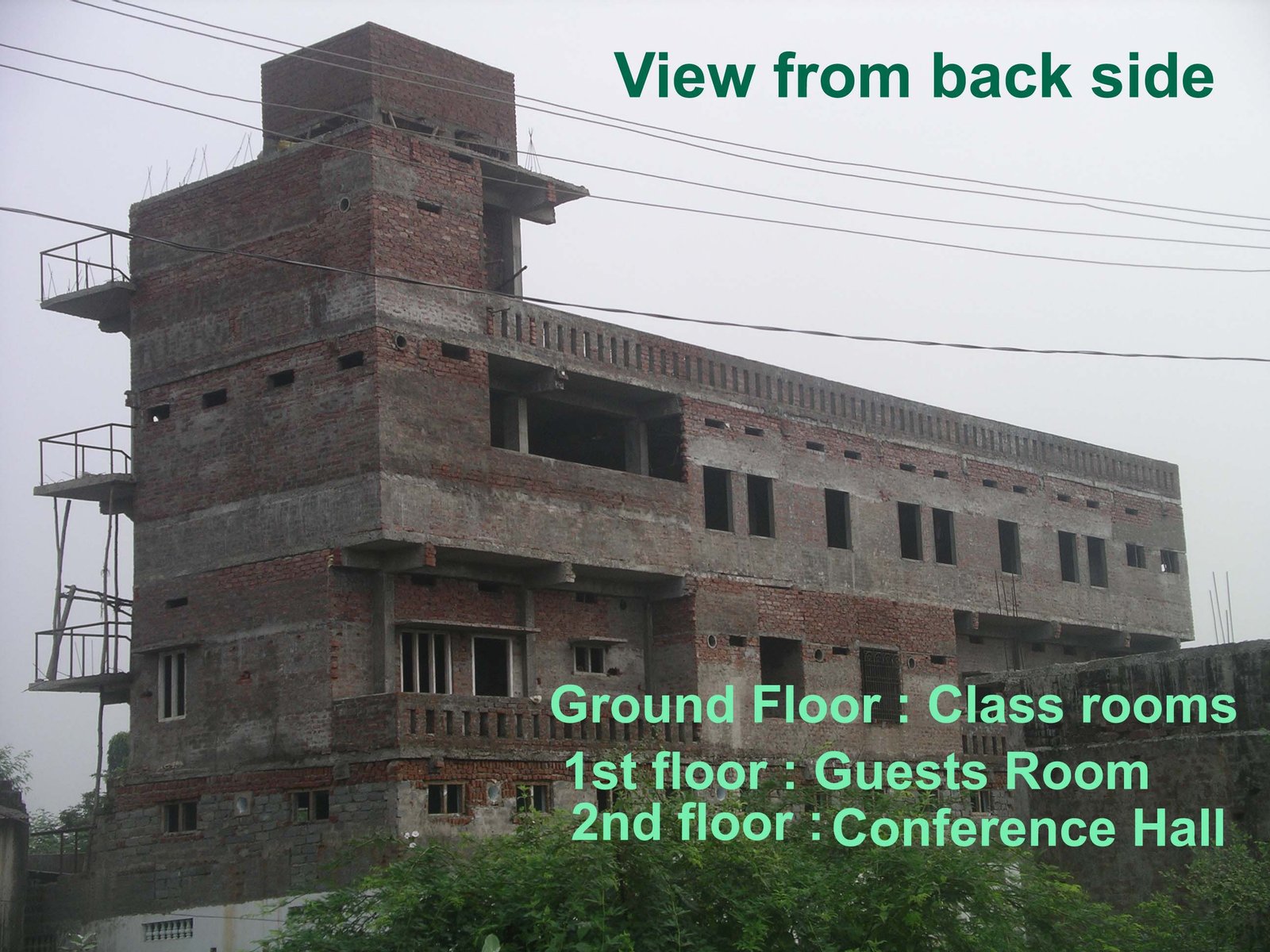 School back view